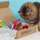 KitNipBox Monthly Cat Subscription Box | $13 | Amazon Gold Box
